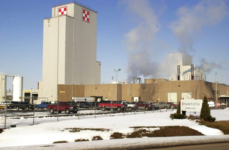 Glassdoor selects Nestle Purina as one of the Best Places to Work News, Sports, Jobs